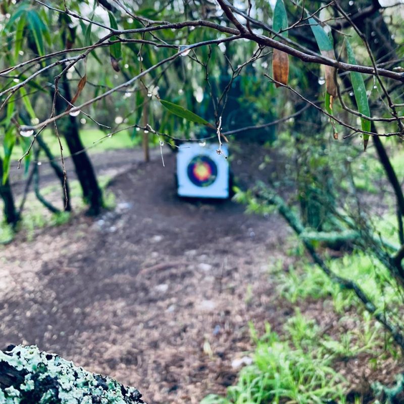 Target amongst the trees