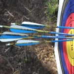 Arrows in target from above