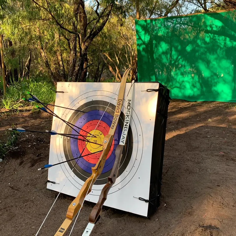 Two wooden recurve bows, named David Bowie and Mockingjay, leaning against a target full of arrows